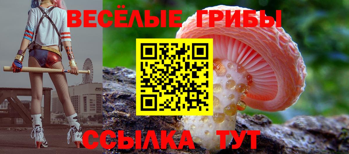 купить   Галлюциногенные грибы MAGIC MUSHROOMS  Псилоцибиновые грибы Psilocybine cubensis  Вход с VPN  Серпухов 